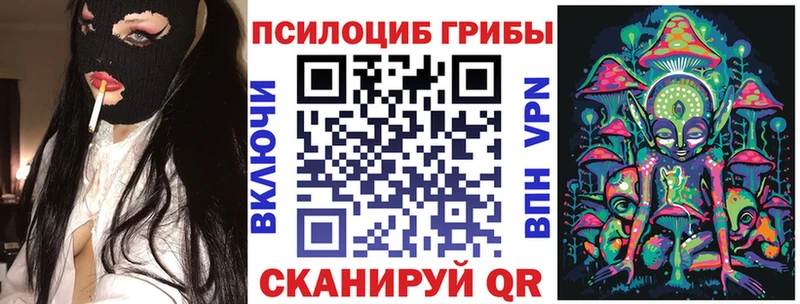 Галлюциногенные грибы Psilocybine cubensis  ОМГ ОМГ tor  Нязепетровск 